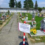 CAMPO 2 INIZIO LAVORI RIPRISTINO  VIALETTO