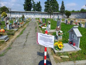 CAMPO 2 INIZIO LAVORI RIPRISTINO VIALETTO