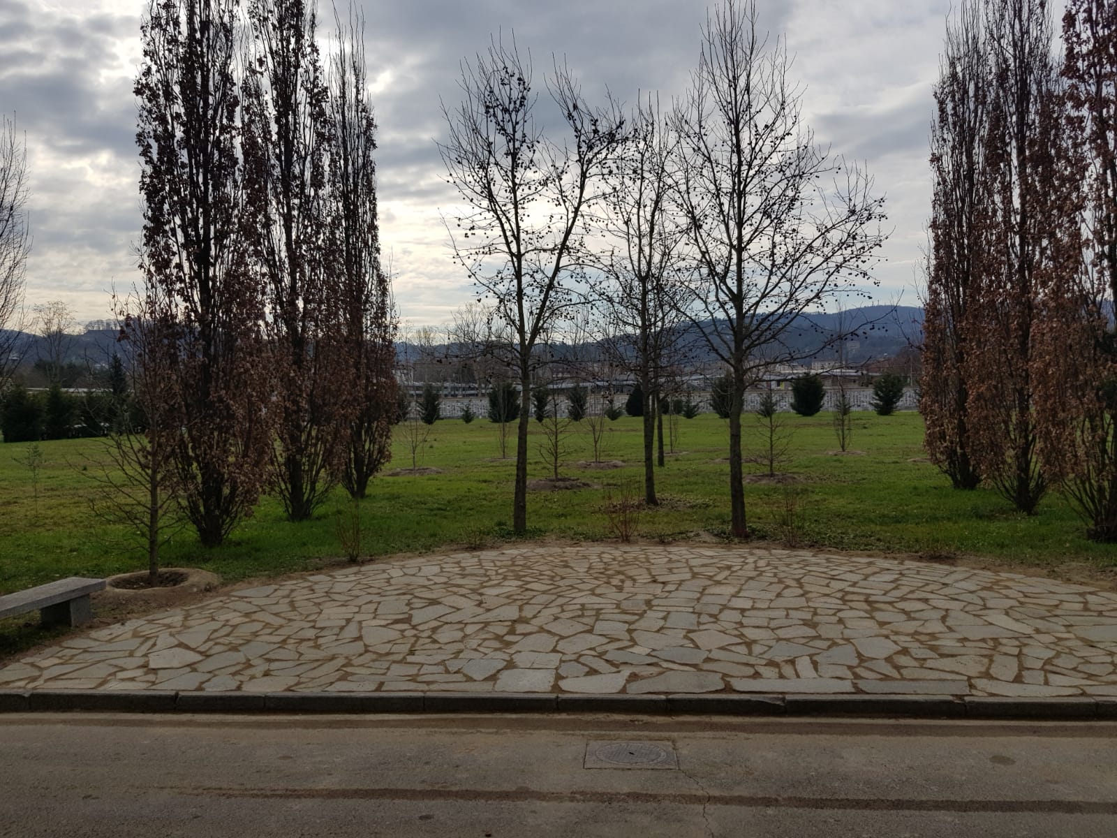 Il boschetto dedicato alle vittime Covid