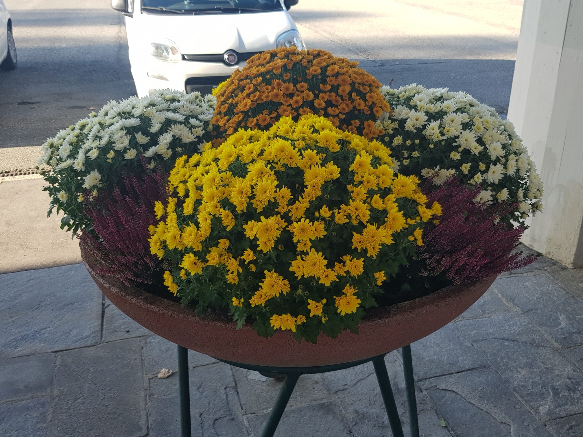 PARCO FIORI CIOTOLA 2024