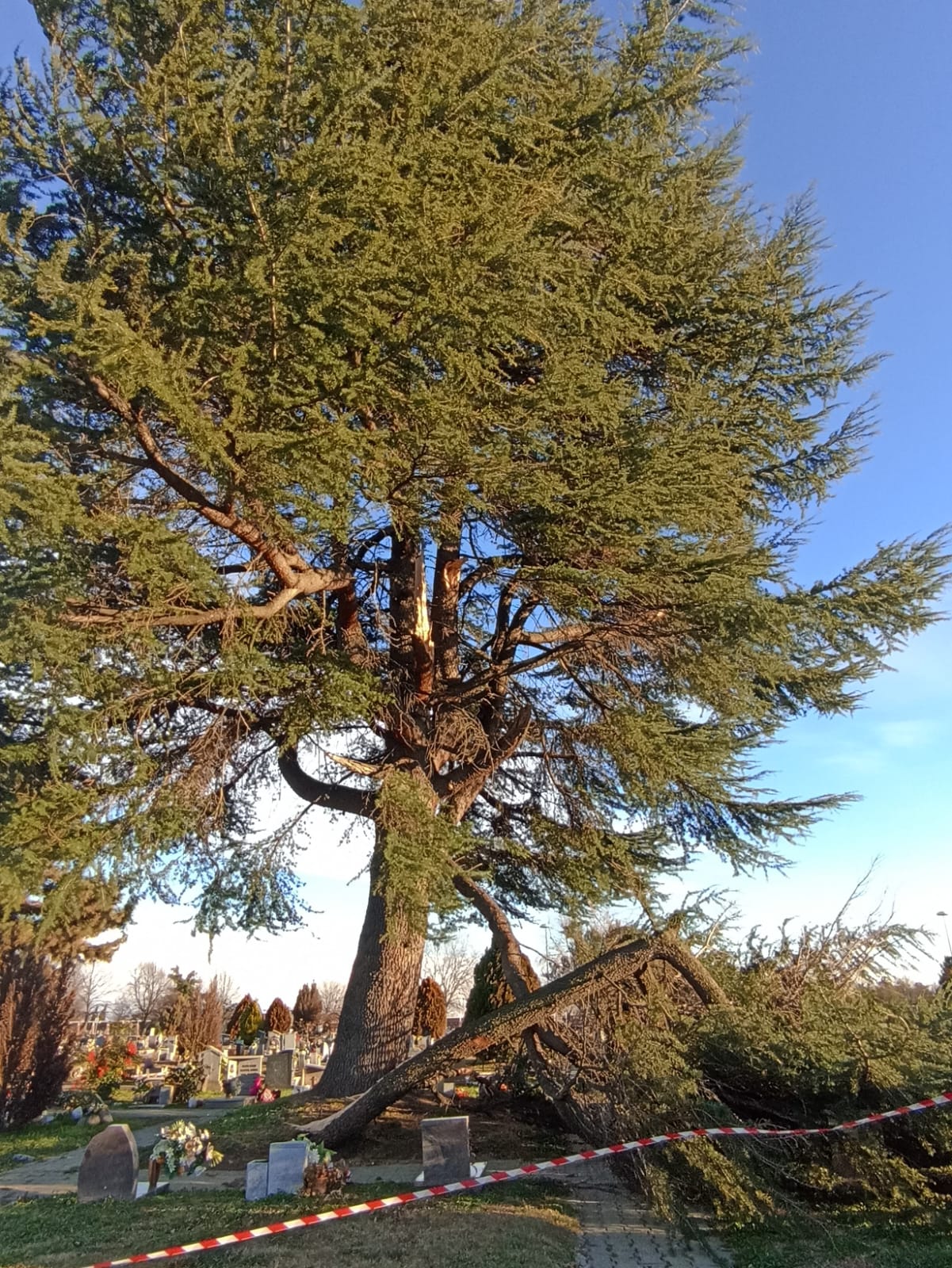 Parco danni vento albero spezzato