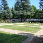 Vista panoramica cellette cimitero Sassi