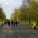 Al Monumentale al via la ristrutturazione dei  complessi di sepolture 34 e 35 in Ottava Ampliazione, al Parco si procede col ripristino dei percorsi stradali e pedonali. Approvati i progetti in Giunta.